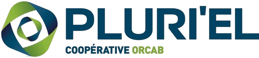 Logo Pluri'el